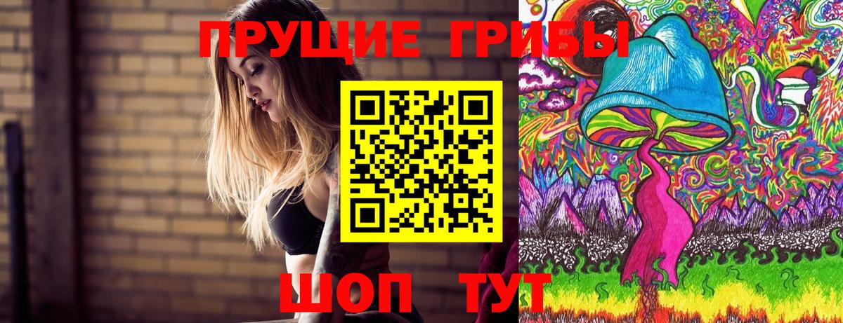Галлюциногенные грибы Psilocybe  Вход с VPN  Псилоцибиновые грибы прущие грибы  Симферополь 