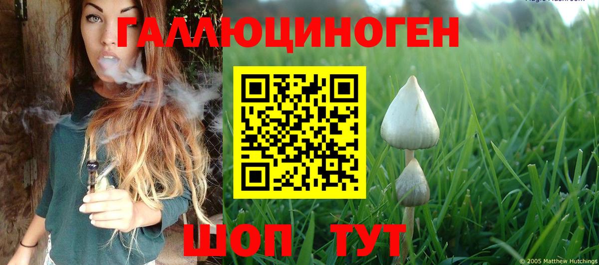 Галлюциногенные грибы прущие грибы Симферополь